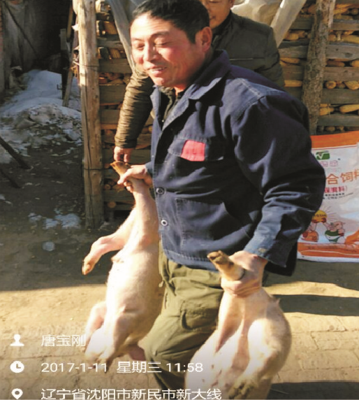 海德威保育料（0101H）的實(shí)證案例一