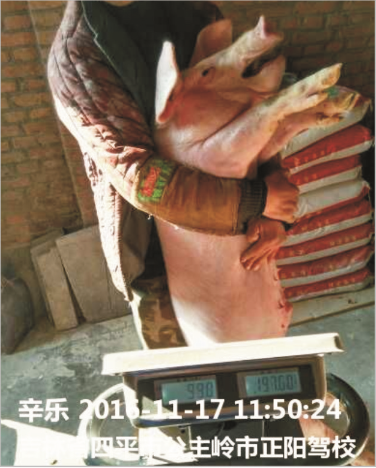 海德威保育料（Z101）的實(shí)證案例
